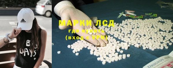 ПСИЛОЦИБИНОВЫЕ ГРИБЫ Аркадак