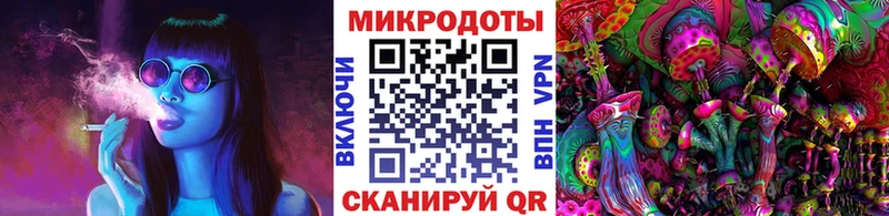 Псилоцибиновые грибы Psilocybine cubensis  Усолье 
